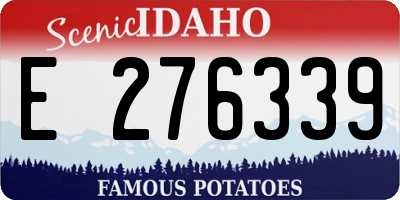 ID license plate E276339