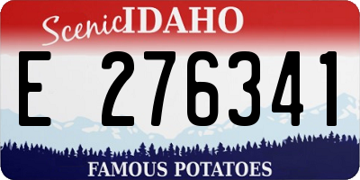 ID license plate E276341