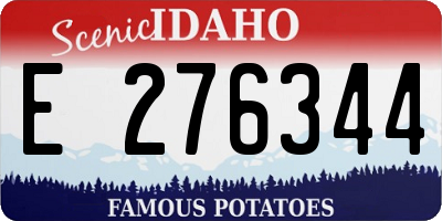 ID license plate E276344
