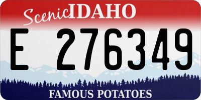 ID license plate E276349