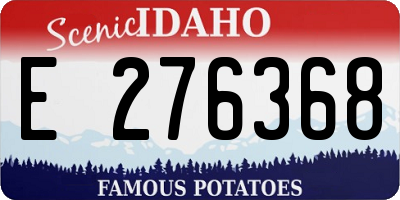 ID license plate E276368