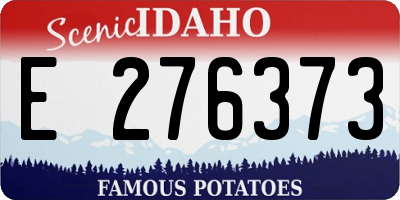 ID license plate E276373