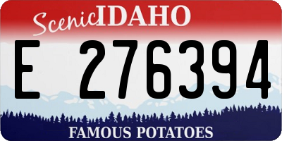 ID license plate E276394