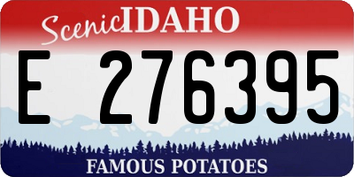 ID license plate E276395