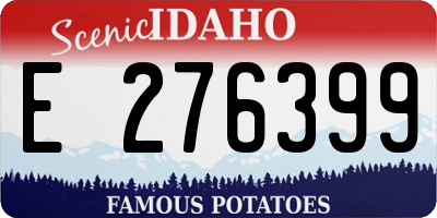 ID license plate E276399