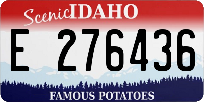 ID license plate E276436