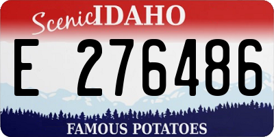 ID license plate E276486