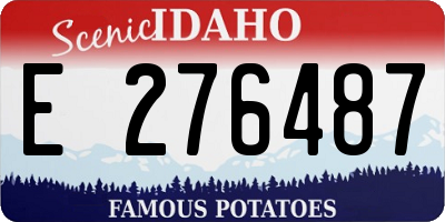 ID license plate E276487