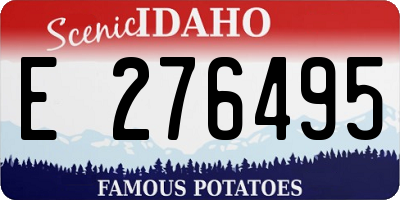 ID license plate E276495