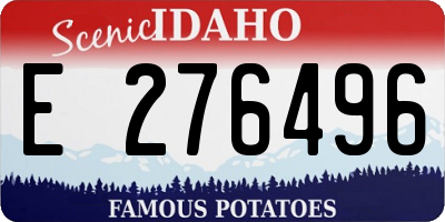 ID license plate E276496