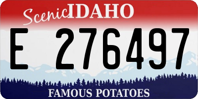 ID license plate E276497