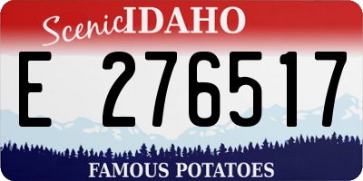 ID license plate E276517