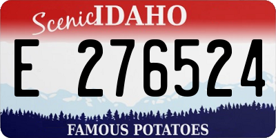 ID license plate E276524