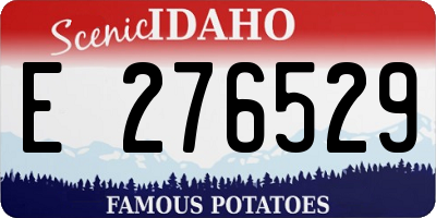 ID license plate E276529