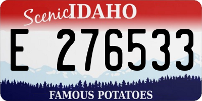 ID license plate E276533