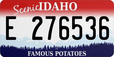 ID license plate E276536