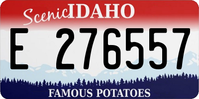 ID license plate E276557
