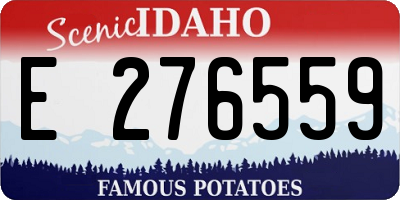ID license plate E276559