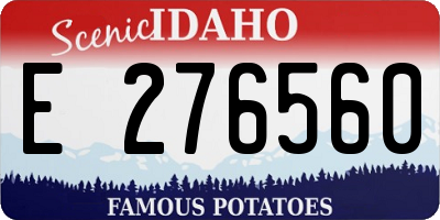 ID license plate E276560