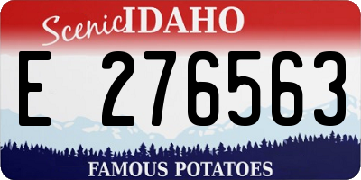 ID license plate E276563