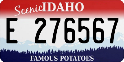 ID license plate E276567