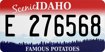 ID license plate E276568