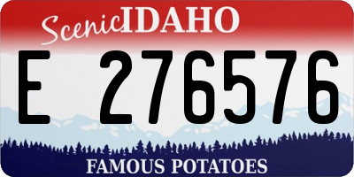 ID license plate E276576