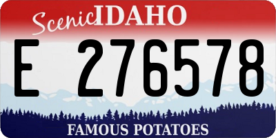 ID license plate E276578