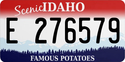 ID license plate E276579