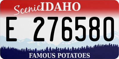ID license plate E276580