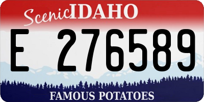 ID license plate E276589