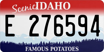 ID license plate E276594