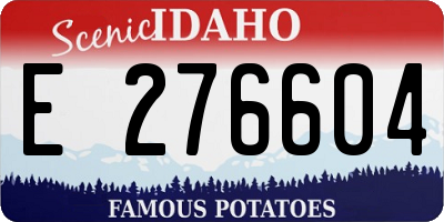 ID license plate E276604