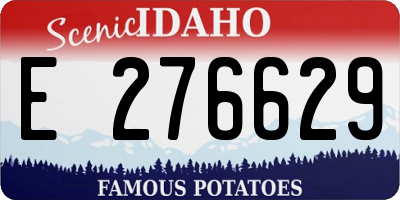 ID license plate E276629