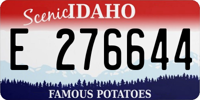 ID license plate E276644