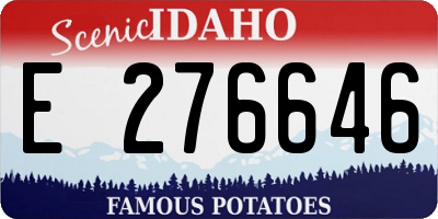 ID license plate E276646