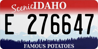 ID license plate E276647