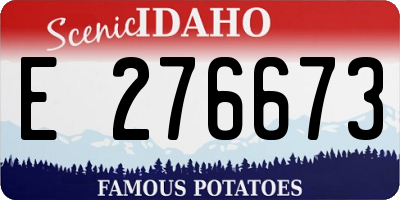 ID license plate E276673