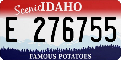 ID license plate E276755