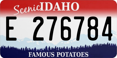 ID license plate E276784