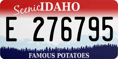 ID license plate E276795