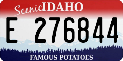 ID license plate E276844