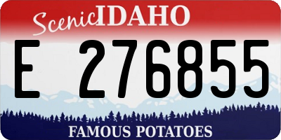 ID license plate E276855