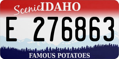 ID license plate E276863