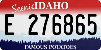 ID license plate E276865