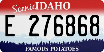 ID license plate E276868