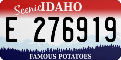 ID license plate E276919