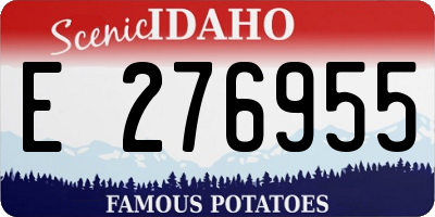 ID license plate E276955