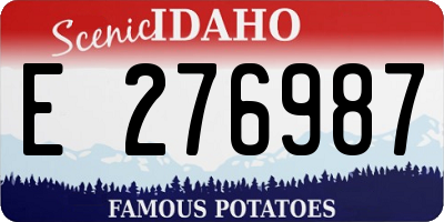 ID license plate E276987