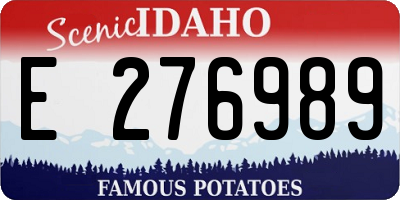 ID license plate E276989